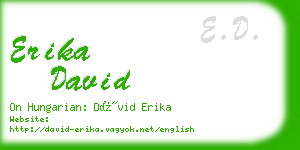 erika david business card